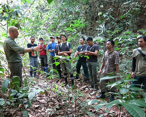 Groupe de personnes en forêt écoutant les explications d’un intervenant pour une formation d’une équipe de ranger Tigre