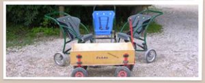Chariots de transport disponibles pour les visiteurs du Lumigny Safari Reserve.