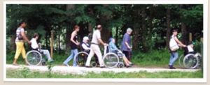 Visiteurs se promenant avec des fauteuils roulants au Lumigny Safari Reserve.